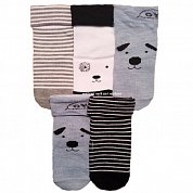 BFL ����� �� ��������� � ��������� � ���������